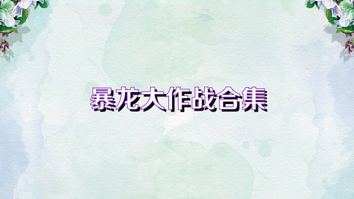 暴龙大作战合集