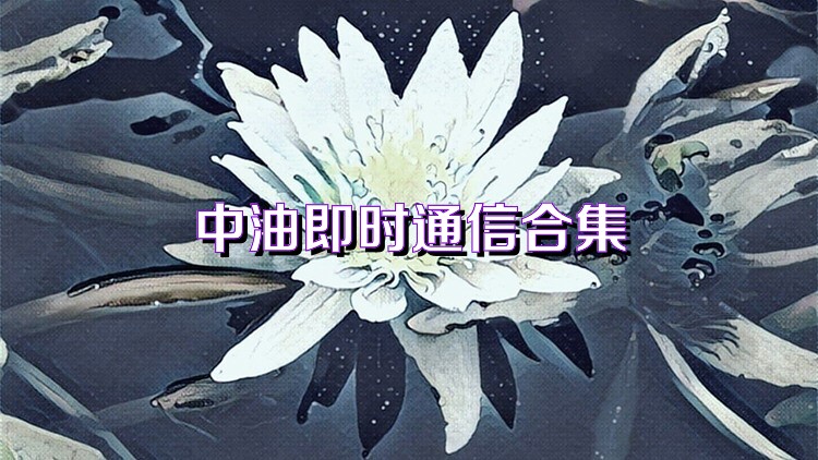 中油即时通信合集