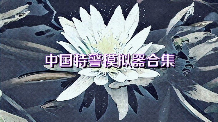中国特警模拟器合集
