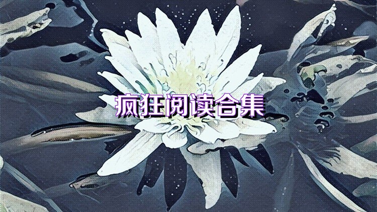 疯狂阅读合集
