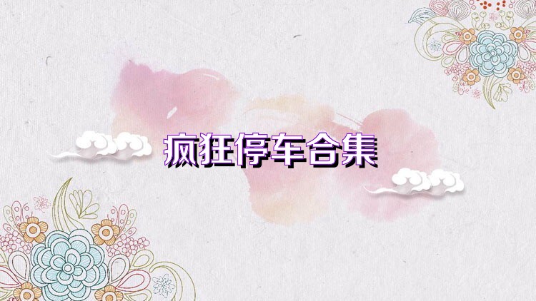 疯狂停车合集