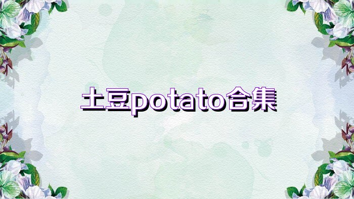 土豆potato合集