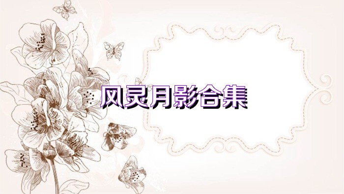 风灵月影合集