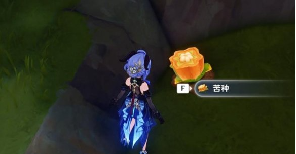 《原神》5.0苦种怎么采集苦种采集路线分享2