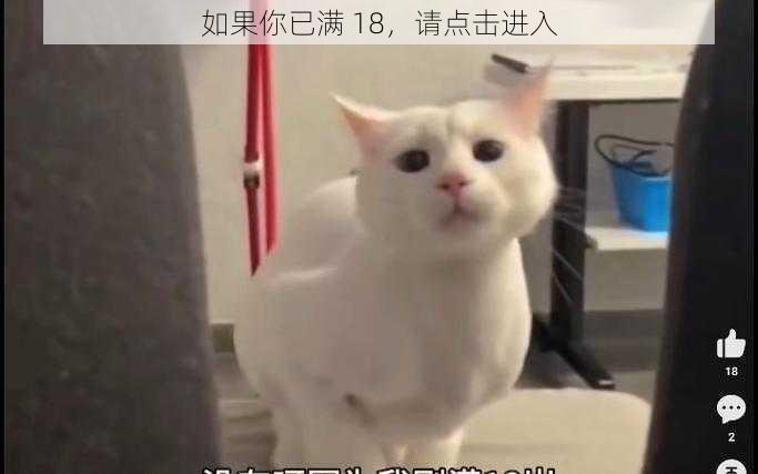 如果你已满 18，请点击进入