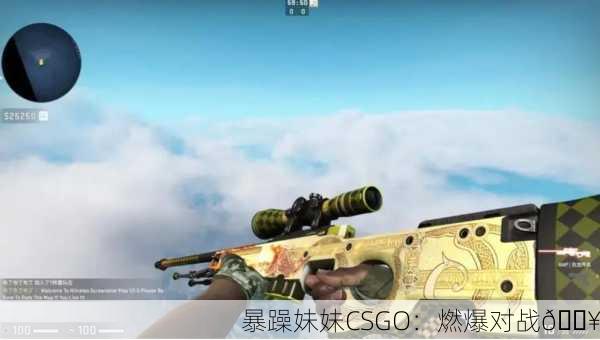 暴躁妹妹CSGO：激情对战 暴躁妹妹csgo常用装备推荐