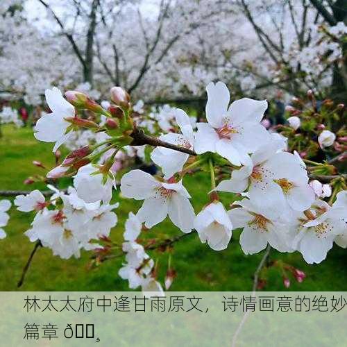 林太太府中逢甘雨原文，诗情画意的绝妙篇章 ?