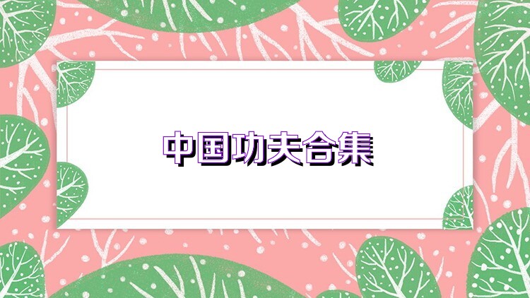 中国功夫合集