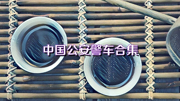 中国公安警车合集