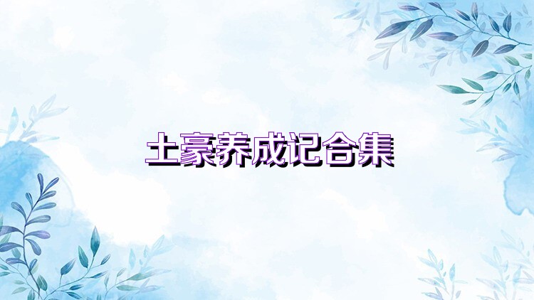 土豪养成记合集