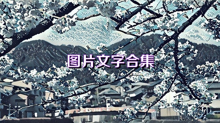 图片文字合集