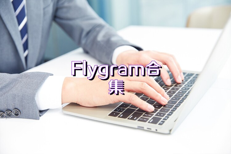 Flygram合集