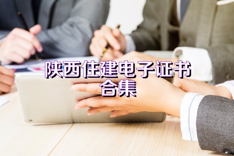 陕西住建电子证书合集