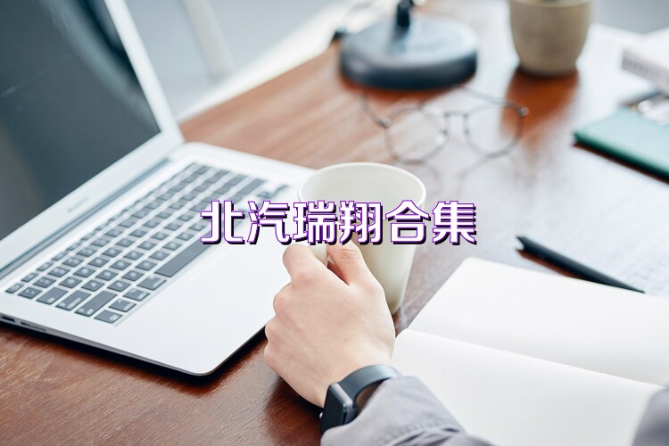 北汽瑞翔合集