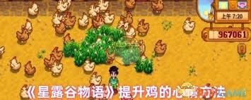如何在星露谷物语中提高鸡的心情