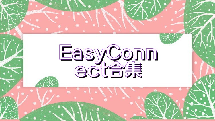 EasyConnect合集