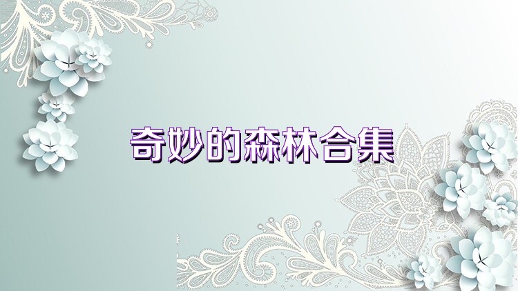 奇妙的森林合集