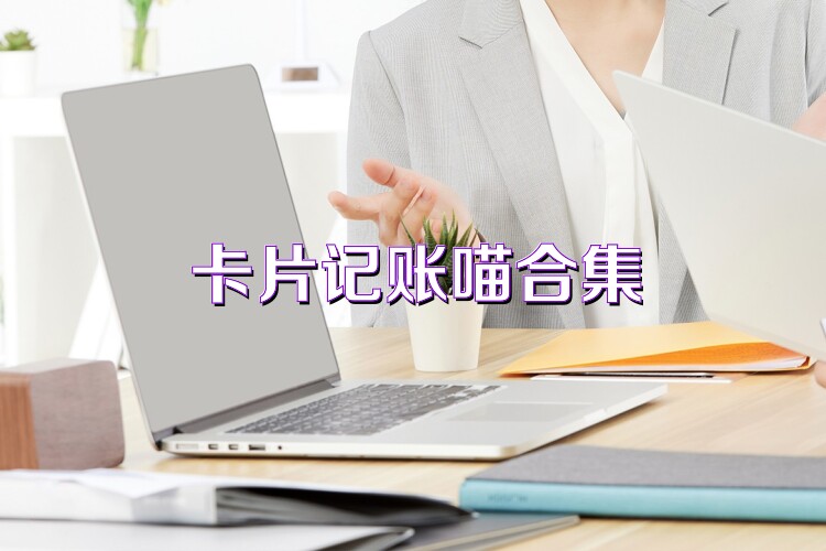 卡片记账喵合集