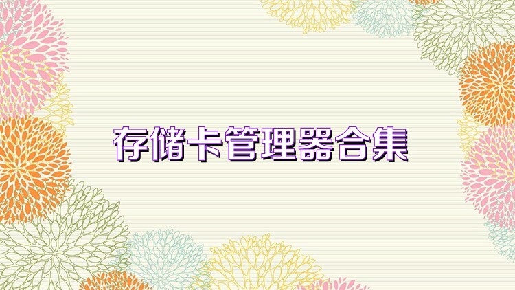 存储卡管理器合集