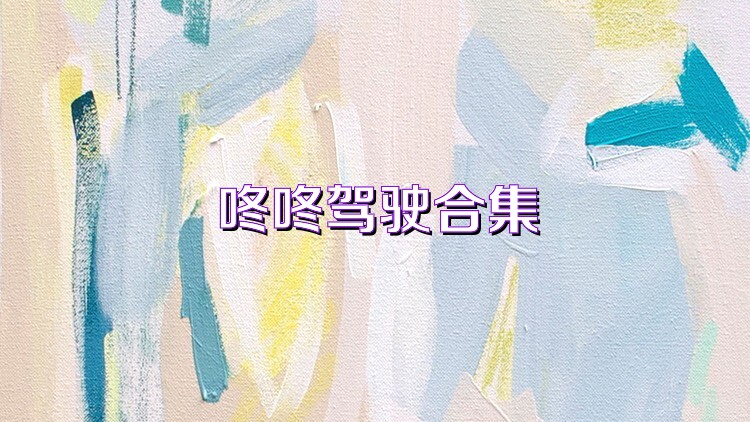 咚咚驾驶合集