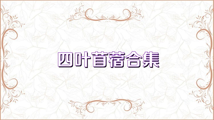 四叶苜蓿合集