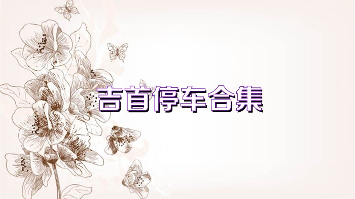 吉首停车合集