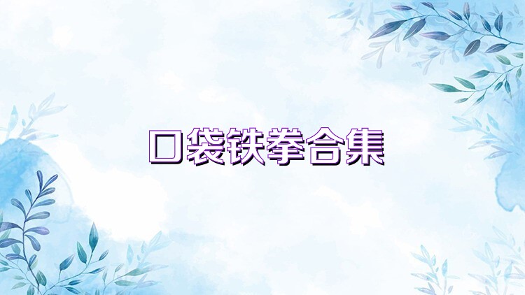 口袋铁拳合集