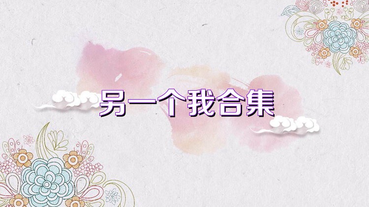 另一个我合集