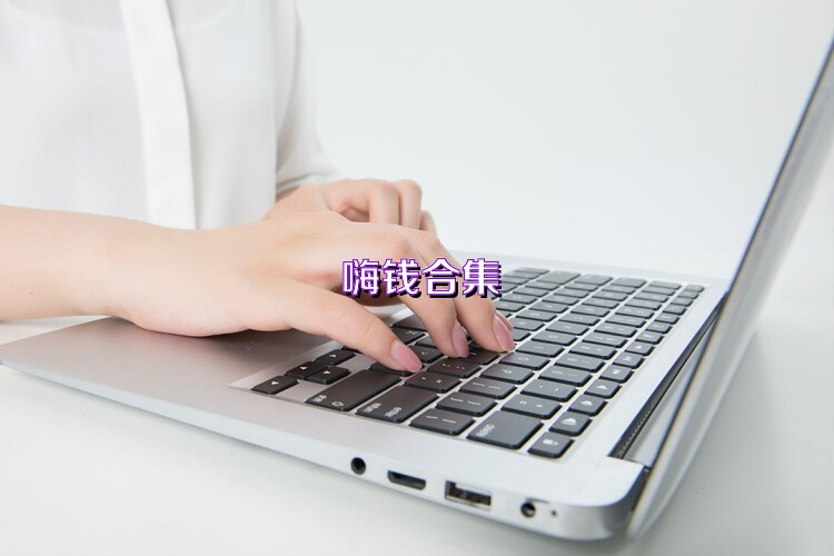 嗨钱合集