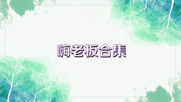 嗨老板合集