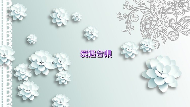 爱遇合集