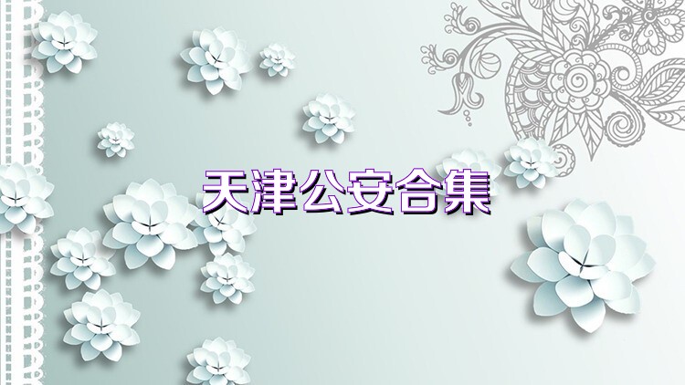 天津公安合集