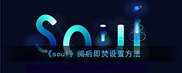 soul阅后即焚功能为何找不到了