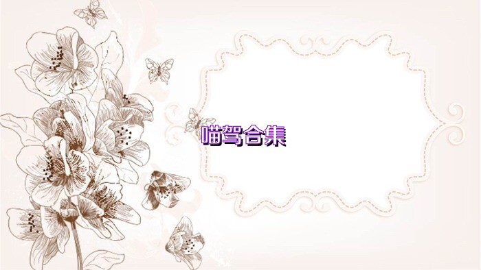 喵驾合集