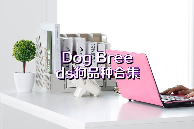 Dog Breeds狗品种合集