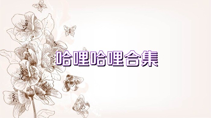 哈哩哈哩合集