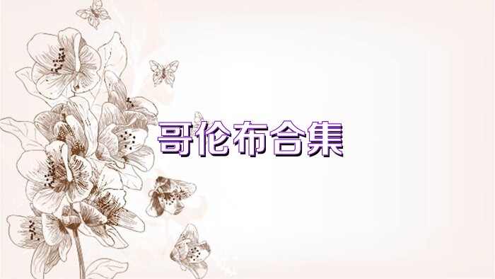 哥伦布合集