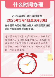 2025个税预约办理时间是什么时候