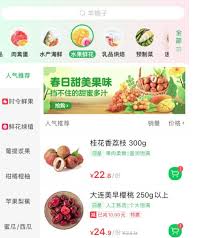 网上买菜哪个平台好