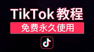 免费网页入口tiktok轻量版在哪获取