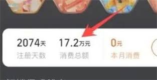 如何查看淘宝消费总额