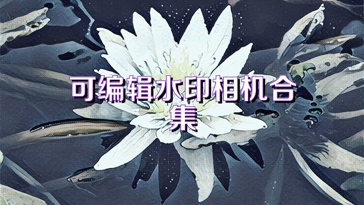 可编辑水印相机合集