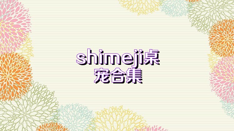 shimeji桌宠合集