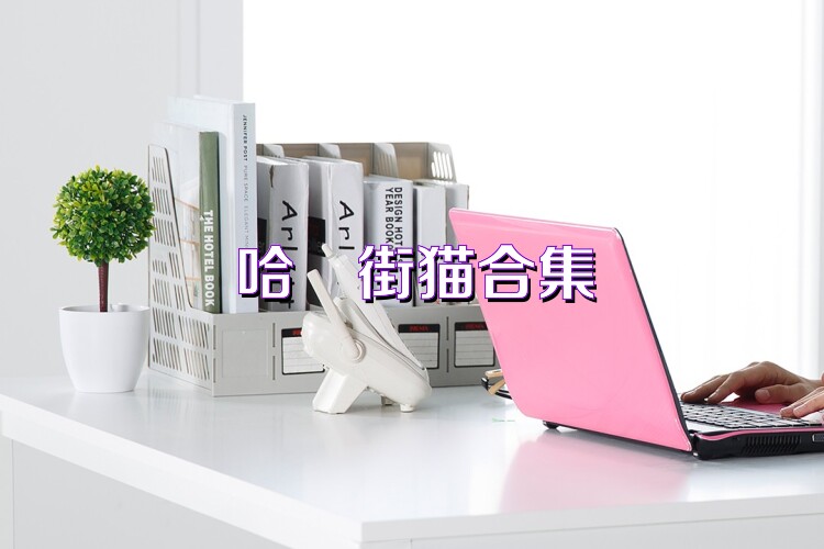 哈啰街猫合集