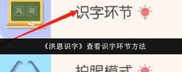 洪恩识字如何查看识字环节