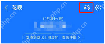 花呗如何提前还款全部结清