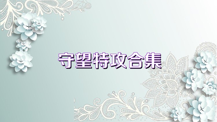 守望特攻合集