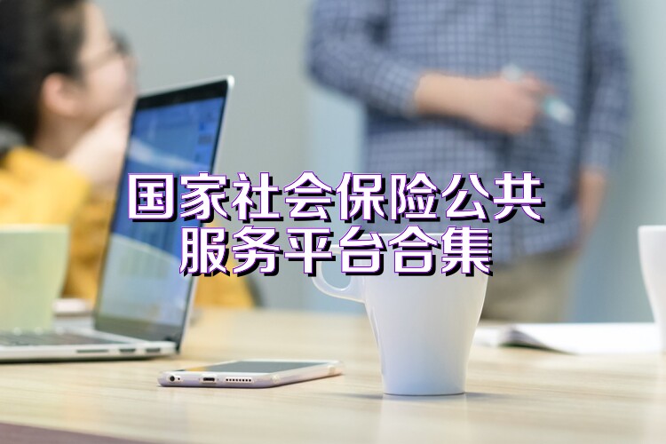 国家社会保险公共服务平台合集