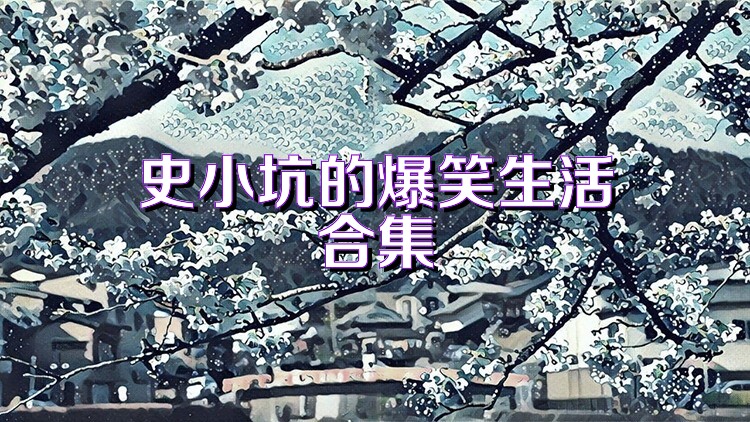 史小坑的爆笑生活合集