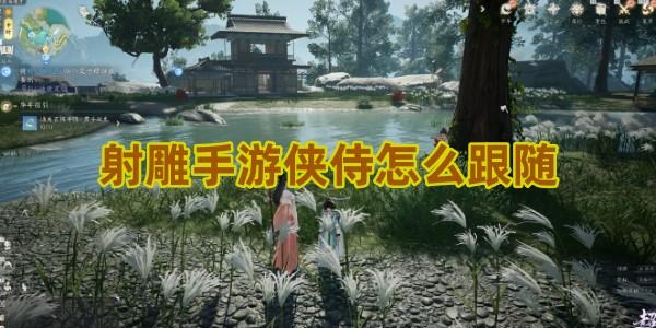 射雕手游侠侍怎么跟随 侠侍跟随方法介绍